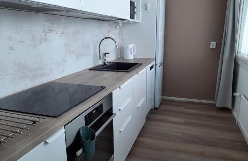 Turku Apartment | Top floor studio, free parking