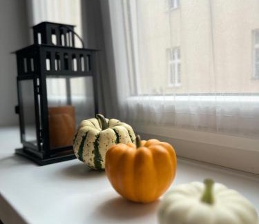 City Centre Apartment | Topolova Apartament - Stare Miasto, 10 min od Rynku