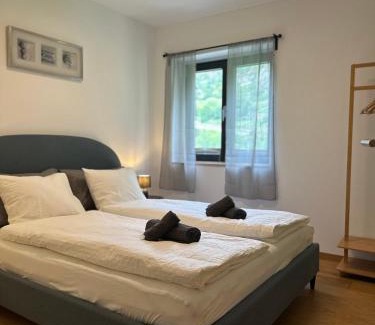 Ackersand Apartment | Topspot Wallis 30 min nach Zermatt oder SaasFee