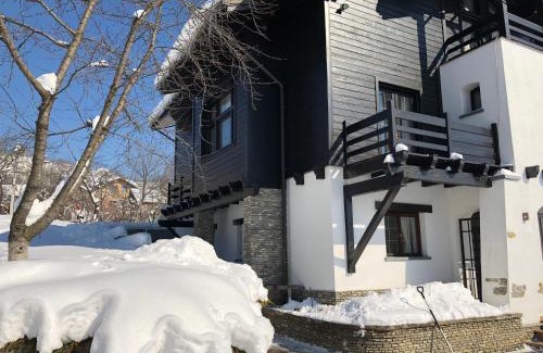 Comarnic Villa | TopVila