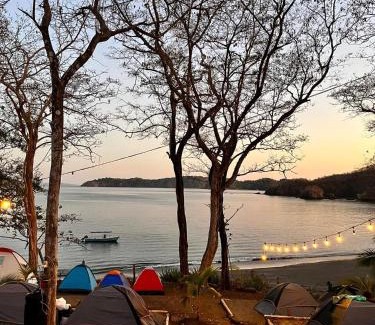 Cerro Plano Other | Tour de Bioluminisciencia con Camping