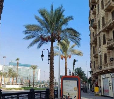 Abdin Hotel | tourist hotel cairo downtown