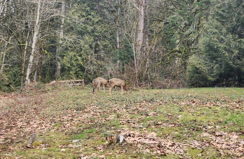 Mission Other | Tranquil Getaway in the Nature, Next to the Flowing River