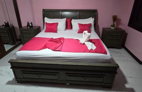 New Kingston Apartment | Tranquil Vibes Villa-Near AC Hotel