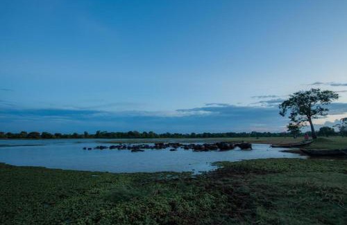 Ranawaranawa Cabin | Tranquil Wild