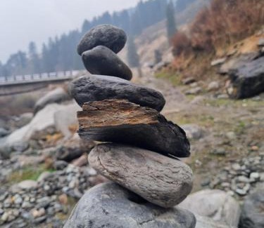 Suja Resort | Tree Bones Camp