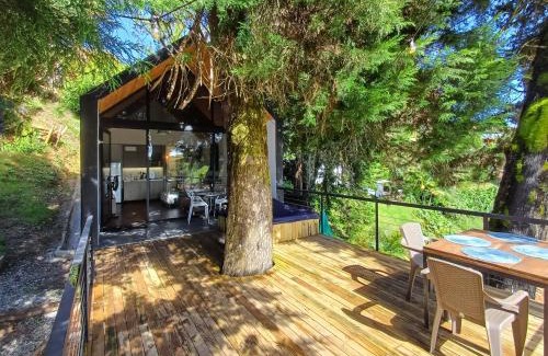 Guatape Ski Chalet | Tree House, Cabaña privada con Jacuzzi