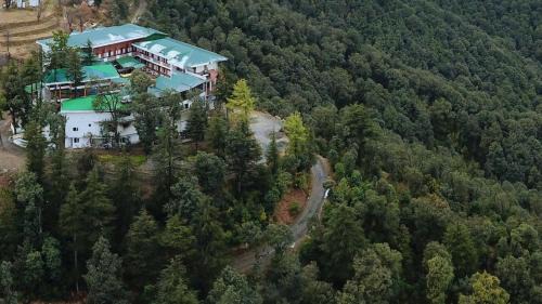 Shimla Resort | TreeHouse Chail Villas