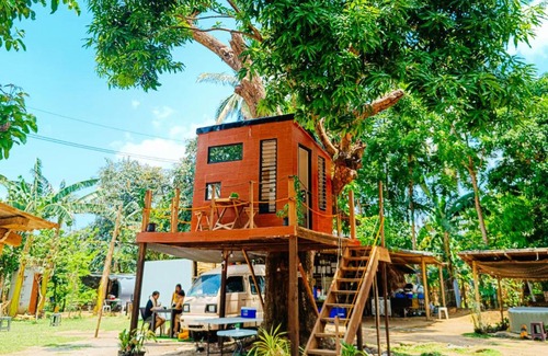 Magallanes Other | Treehouse