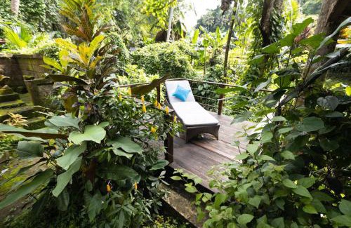 Pengosekan House | TREEHOUSE with private pool near YOGABARN - in Ubud center