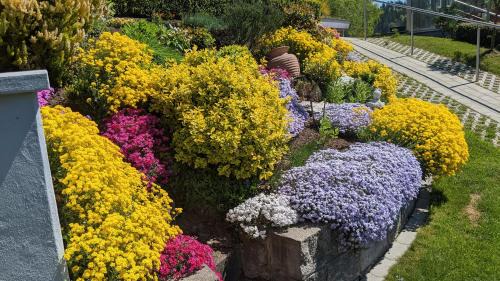 Triberg im Schwarzwald Apartment | Triberg Blick