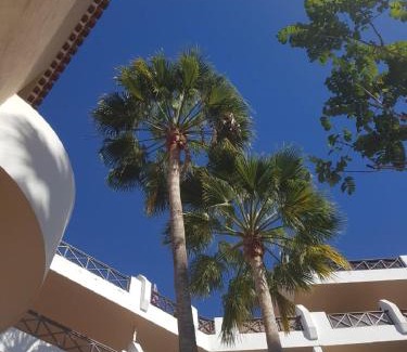 San Miguel de Abona Resort | Tropical garden, sunshine, heated pool