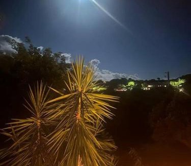Nazareth Villa | Tropical Treehouse In Paradise St Thomas