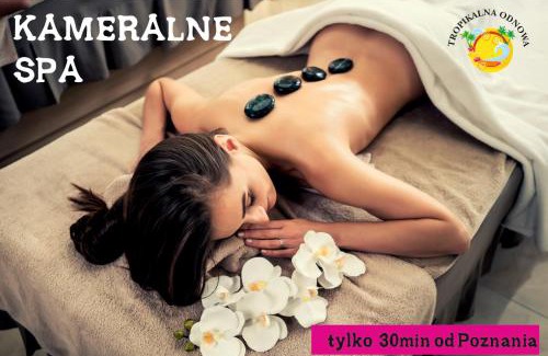 Lubowo Bed & Breakfast | Tropikalna Odnowa