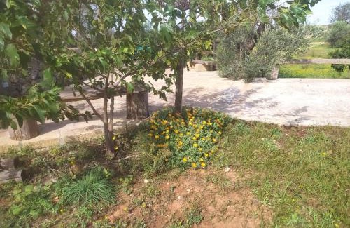 Alliste House | Trullo Contrada Stracca