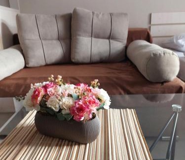 Tsaghkadzor Apartment | Tsaghkadzor, Alvina Complex Apartment 163