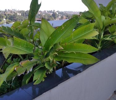 Kawangware Apartment | Tsavo Pentagon