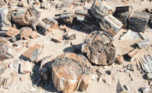 Khorixas Other | Tsubes Petrified Forest Tented Camp