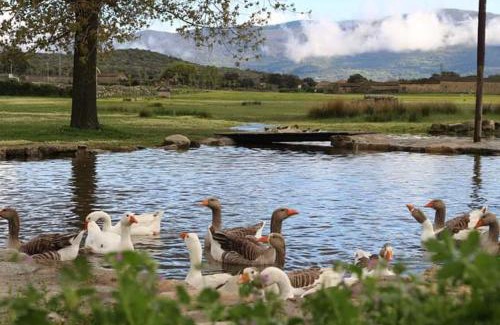 La Iglesuela House | Tu Casa de Pueblo