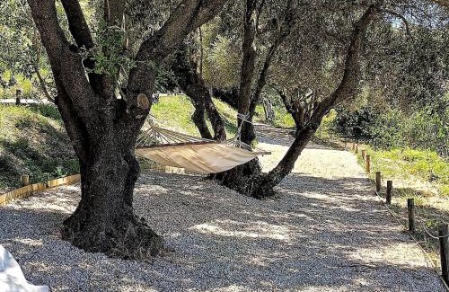 Osilo Bed & Breakfast | Tuffudesu Experience