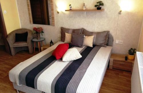 Bukfurdo House | Tulipán Apartmanház