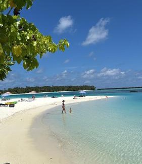 Dhiffushi Hotel | Turtle Hive - Velaa Vani