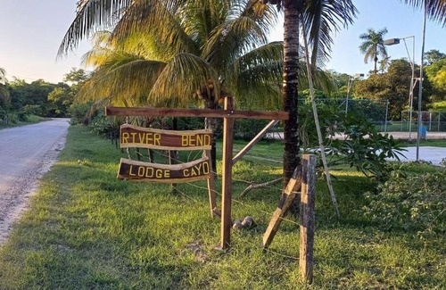 Bullet Tree Falls House | Turtle Suite