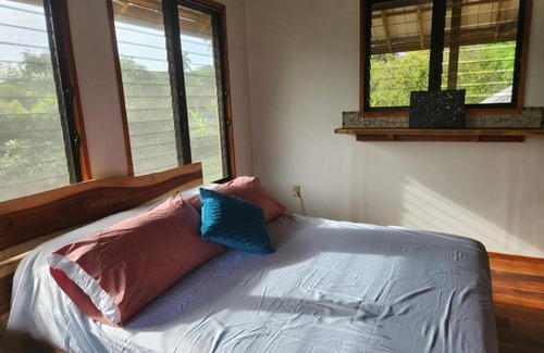 Bullet Tree Falls House | Turtle Suite