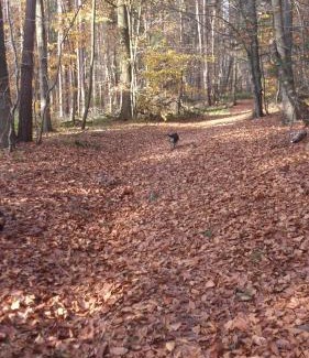 Nowa Słupia House | Turystyka Wiejska AGRO-DOM