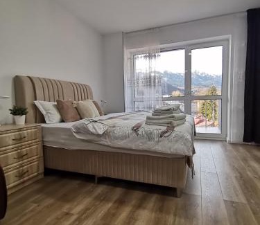 Sinaia Apartment | Tutu Studio Sinaia cu vedere panoramica Early Checkin