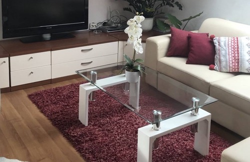 Ravna Gora Apartment | Two bedroom apartment with balcony Ravna Gora, Gorski kotar (A-20790-a)