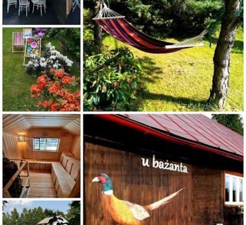 Uherce Mineralne Cabin | u bażanta