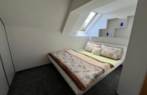 Kamenicky Senov House | U Skleněného stromu
