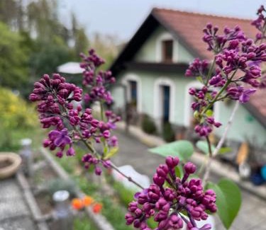 Luhacovice House | Ubytování na Lesní