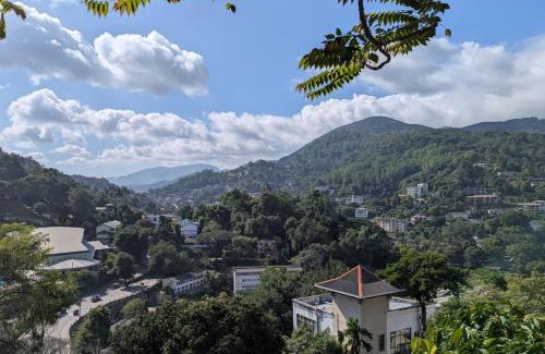 Kandy Cabin | Udawatta Kele (UK) Forest Lodge