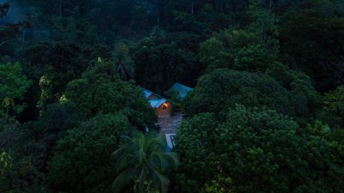 Walallawita Hotel | Ududola Rainforest Cottages