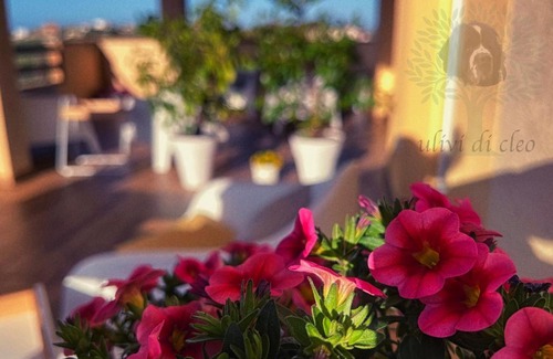 Realmonte House | Ulivi di Cleo