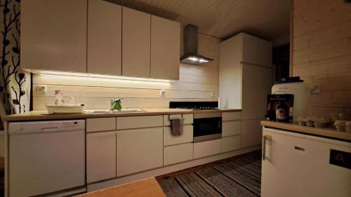 Posio Villa | Unique aurora experience