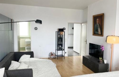Ville Haute Apartment | Unique Penthouse Maximilian von Bavaria 1-4 personnes à coté de Louis Vuitton