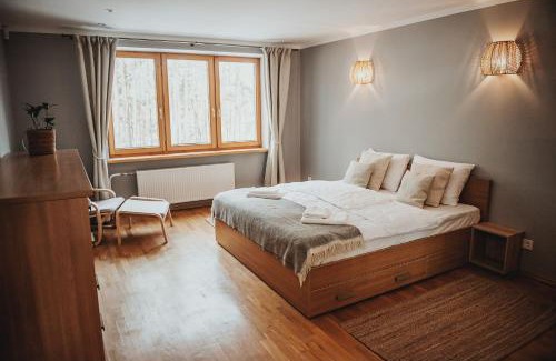 Anyksciai House | Upės apartamentai I su terasa ir baseinu