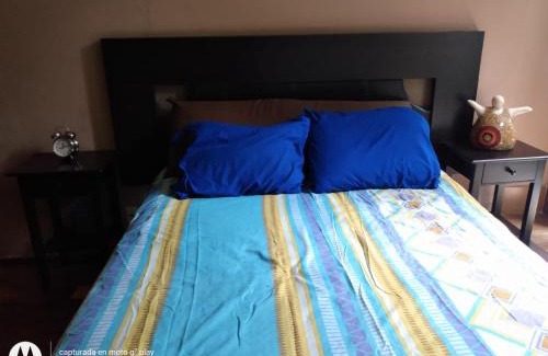 Colonia Centro Bed & Breakfast | Urban living BnB Puerta Alameda