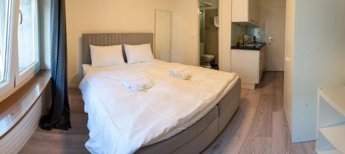 Sihlfeld Apartment | Urban Oasis with Queen Bed and View BE-13