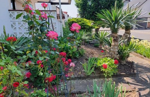 Dielheim Apartment | urige gemütliche Ferienwohnung 64 m2 in Dielheim, Nähe Heidelberg