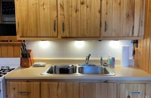 Ohio City Cabin | Ursa Miner - quiet, dark sky, 6 miles from Pitkin!