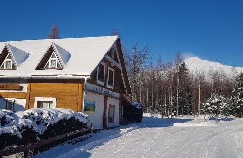 Velky Slavkov House | V ihličí