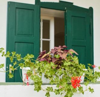 Racalmas House | Vadrózsa Vendégház Rácalmás