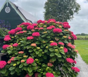 Wijdenes House | Vakantiehuis Het Uilennest