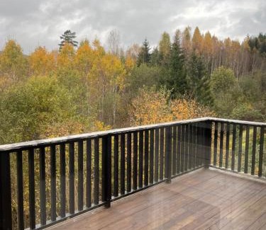 Skien House | Vakre Melum