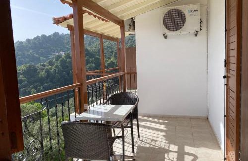 Katsarou Apartment | Valmas village