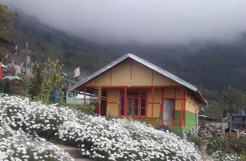 Rishop House | Vamoose Niru